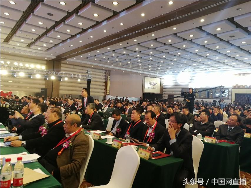 泥猪瓦狗打一准确生肖,警惕虚假宣传、全面解答、前沿解答解释落实